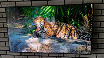 Sony Bravia KD-55XE9005 100Hz