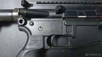 AR 15 Sig sauer 16 parol