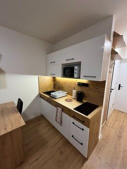 Garzónka pri Auparku ( Krivá 18)