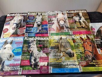 Kone&hribata