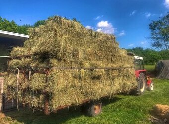 Baliky lúčneho sena na predaj