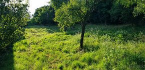 Predám dva stavebné pozemky pod lesom Nitra - Zobor.