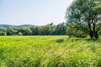 VEĽKÝ POZEMOK S POTENCIÁLOM - KOMÁROV