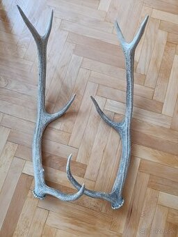 Predám parozie