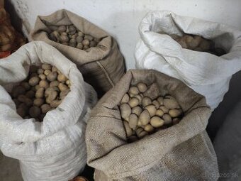 Predám krmné zemiaky