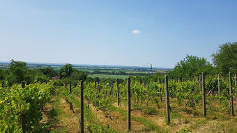 Predám dva vinohradnícke domy s pozemkami medzi vinohradmi p