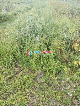 Predaj, stavebný pozemok so starším domčekom Veľký Horeš