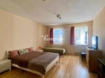 PRENÁJOM 1 izb byt v dome,  záhrada -  centrum mesta, Kalvár