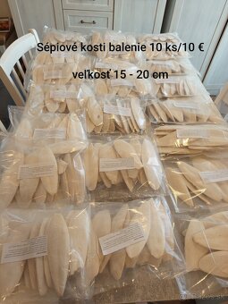 Predám sépiové kosti