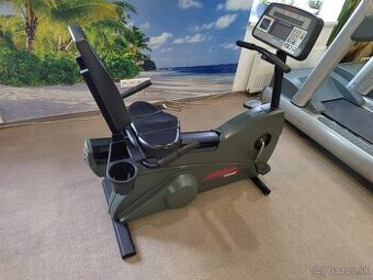 Recumbent Life Firtness Cycle 9500HR