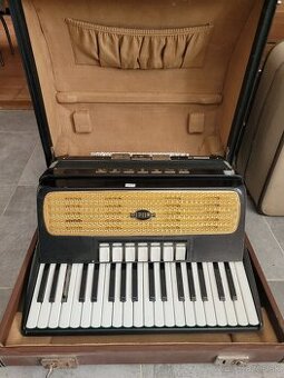 Akordeón Delicia