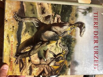 Vzacna kniha k filmu