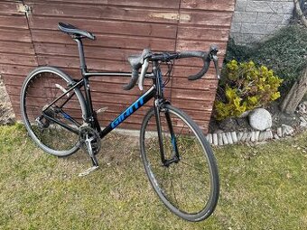 Giant Contend2 M 2021