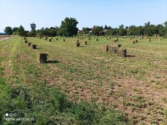 Datelina ( Lucerka)