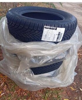 Falken Eurowinter HS02