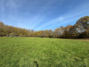 Predaj krásneho pozemku pod lesom s viničným domom v Ďevičan