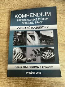 SOCIÁLNA PRÁCA - Vademecum, Kompendium, Kazuistiky