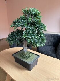 Umelý bonsaj