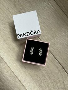 Pandora naušnice