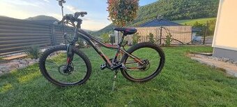 CTM Rocky 3.0 24"
