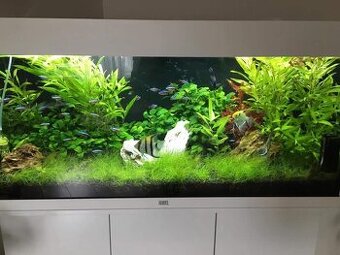 180l akvárium + celý set