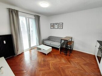 Prenajom 1 izboveho bytu Bratislava Nove Mesto