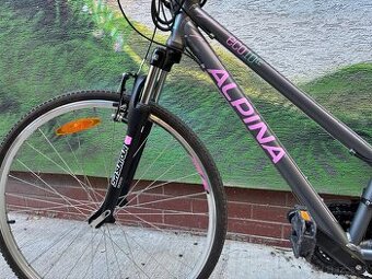 ALPINA eco10LC