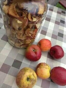 sušené jablkové štiepky - jabĺčka - 1