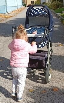 DARUJEM STARSI KOCIK