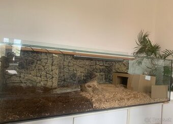 Terrarium pre korytnačku