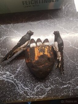 Starozitna drevorezba-vlastovky