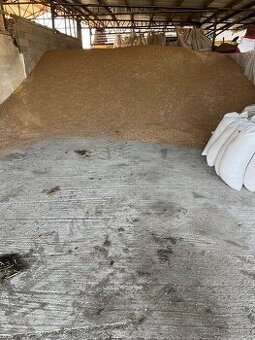 psenica jacmen ovos raz kukurica slnecnica