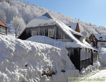 Autentická drevenica s dvomi výnosovými apartmánmi, Donova