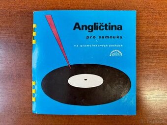 LP platne Angličtina pre samoukov 5ks