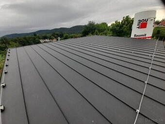 Bleskozvody, kamerové systémy....