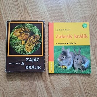 Zajac a králik