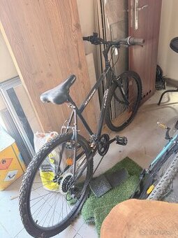 Bicykle - 1