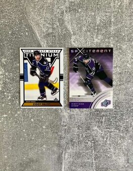 Hokejové kartičky Slováci v NHL 4