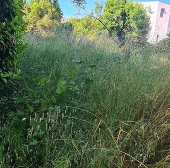 🌿 KOSENIE A ČISTENIE POZEMKOV – OKOLIE NOVÉHO MESTA NAD VÁH