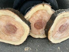 Čerešňové drevo - 1