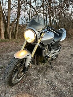 Hornet 600