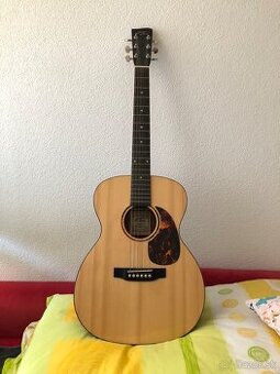 Akustická gitara Recording King RO-G6 - 1