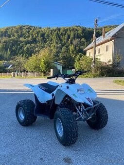 Access Moto DRR 100
