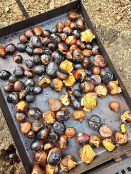 🌰 jedlé gaštany 🌰