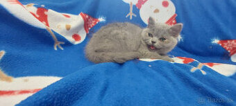 Britska britske britsky