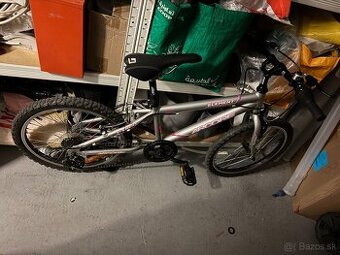 Bicykel Arcore 20”