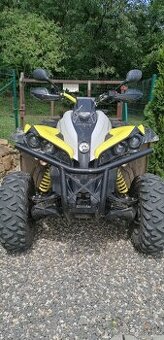 Can Am renegade xxc 650