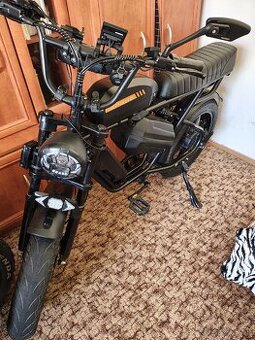 Engwe m1 fatbike
