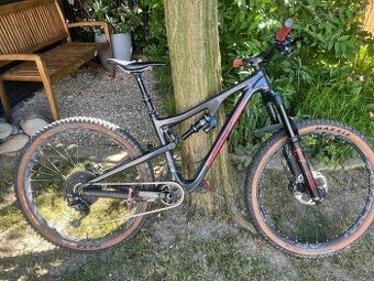 Santa Cruz Bronson C