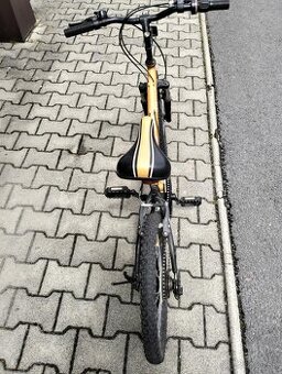Detský bicykel 20